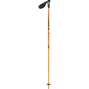 Team Issue Ski Pole
