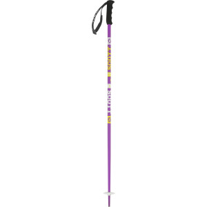 Jr Team Issue Ski Pole