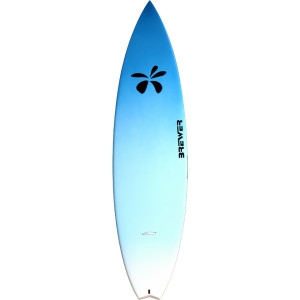 Surftech Dick Brewer Fish Surfboard
