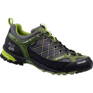 Firetail GTX Hiking Shoe - Men's
