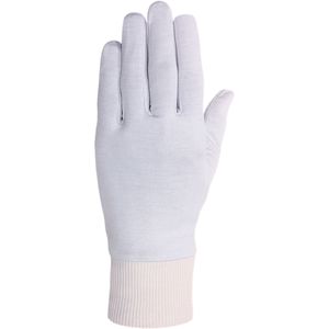 Arctic Silk Glove Liner 