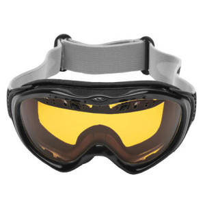 Smith Anthem Regulator Spherical Series Goggles- Women's