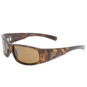 Hideout Polarized Sunglasses