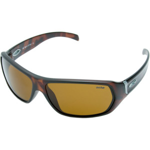 Pavilion Polarized Sunglasses