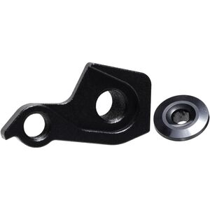 Thru-Axle Derailleur Hanger