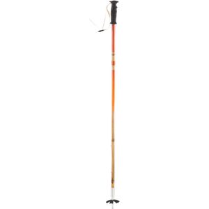 Vibrant Soul Ski Pole