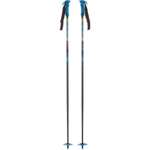 Sonic Ski Pole