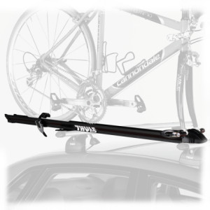 Prologue Bike Mount