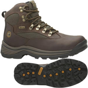 Chocorua Trail GTX Boot - Women's