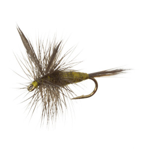 Blue Wing Olive - 2-Pack