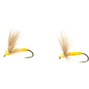 CDC Biot Comparadun - 2-Pack
