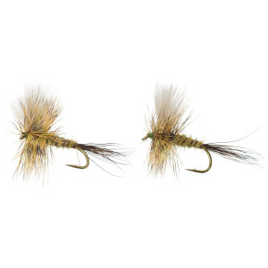 Colorado Green Drake - 2-Pack