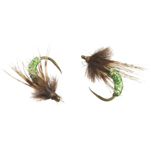 Barr's Graphic Caddis - 2-Pack