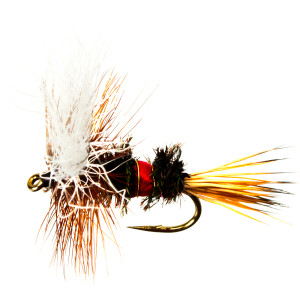 Wulff - 2-Pack