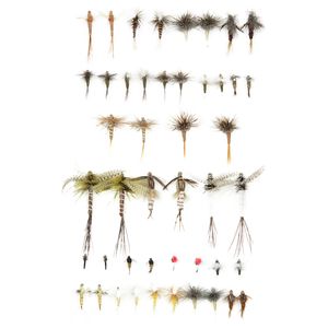 Eastern Trout Selections