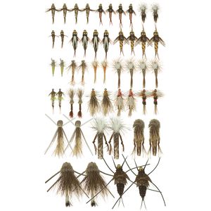 Northern Rockies Trout Selections