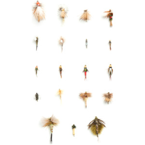 Southern Rockies Trout Selections