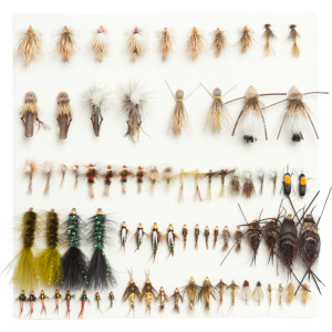 Ultimate Trout Selection