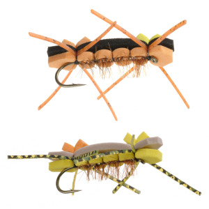 Chernobyl Ant - 6-Pack