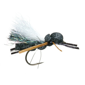 Carl's Cicada - 4-Pack