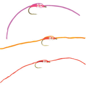 Miller's Span Juan Worm - 6-Pack