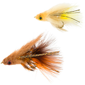 Craven's Gonga - 4-Pack