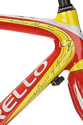 Pinarello Prince Carbon Detail