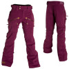 Airblaster Gator Pant - Men's