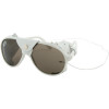 Airblaster Glacier Glasses