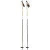 Woody XC Ski Pole