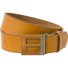 Arbor Legacy Belt