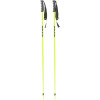 Triad Ski Pole