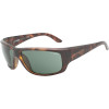 Arnette Cheat Sheet Sunglasses