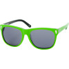 Ashbury Eyewear Day Tripper Sunglasses