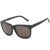 Ashbury Eyewear Day Tripper Sunglasses