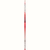 Team Skate Ski