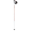 Sage Pro Ski Pole