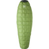 Pitchpine SL Sleeping Bag: 40 Degree Down