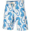 Billabong Andy Davis Sea Stallion Board Short - Men's