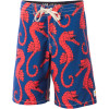 Sea Stallion Board Short - Boys'