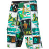 Postcard Board Short - Men's