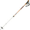 Black Diamond Traverse Ski Poles