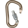 Black Diamond Rocklock Carabiner