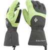 Black Diamond Prodigy Glove - Men's
