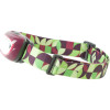 Black Diamond Moxie Headlamp