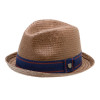 Brixton Castor Hat