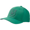 Striker Flexfit Baseball Hat