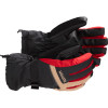 Gore-Tex Glove - Men's