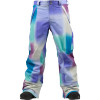 Burton Vent Pant - Men's