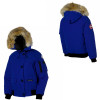 Canada Goose Polar Bears International Chilliwack Down Bomber Jacket - Women's